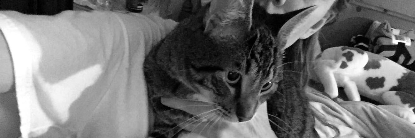 JacciBreeze's profile banner image
