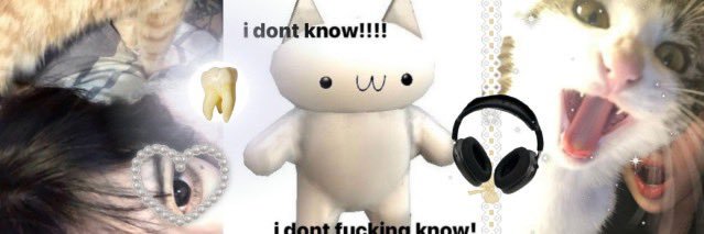 ₍ᐢ. .ᐢ₎ banner