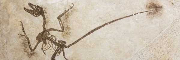 JeremyatTHD Profile Banner