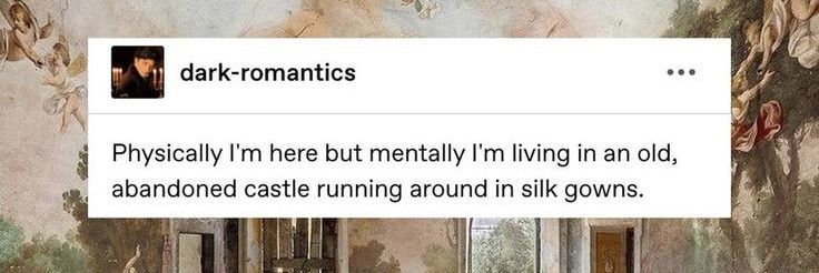 missmnross's profile banner image