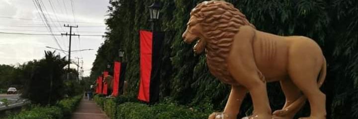 JasampsNic banner