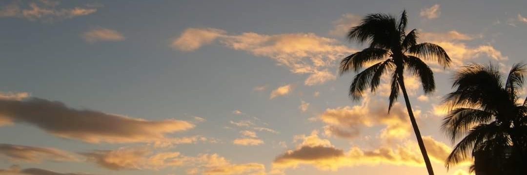 san_sue's profile banner image