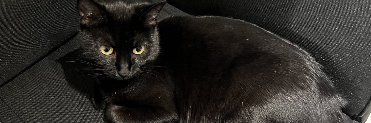 trisvvh's profile banner image