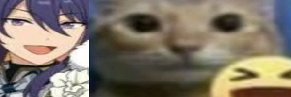 neriuom Profile Banner