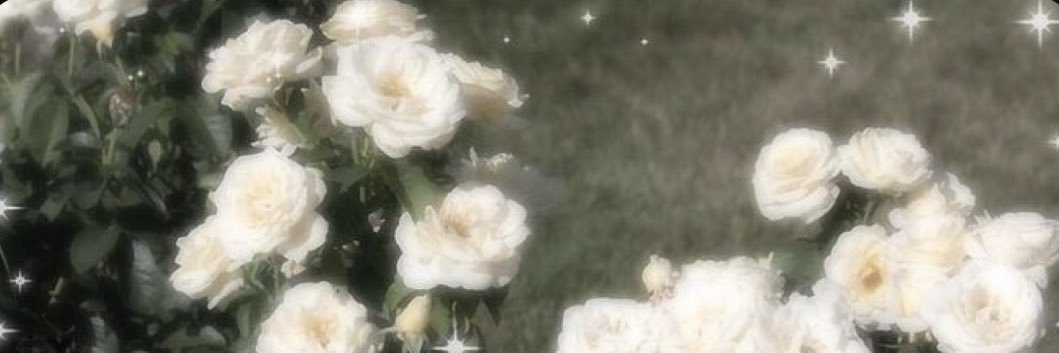 Rzankh6's profile banner image