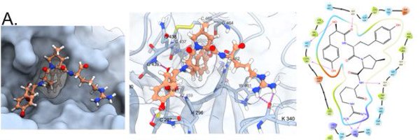 k_pyrc Profile Banner