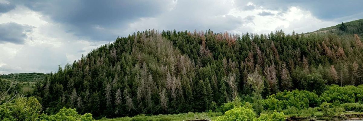aprielasaurus's profile banner image
