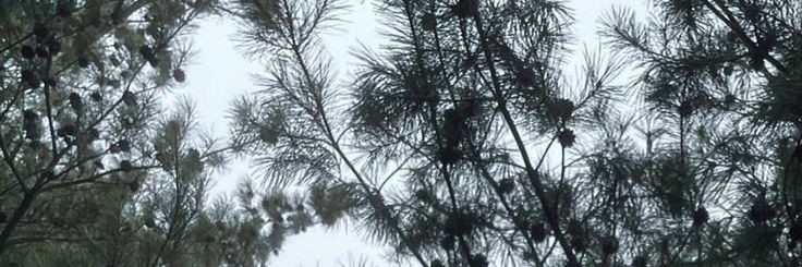 skiyscraper's profile banner image