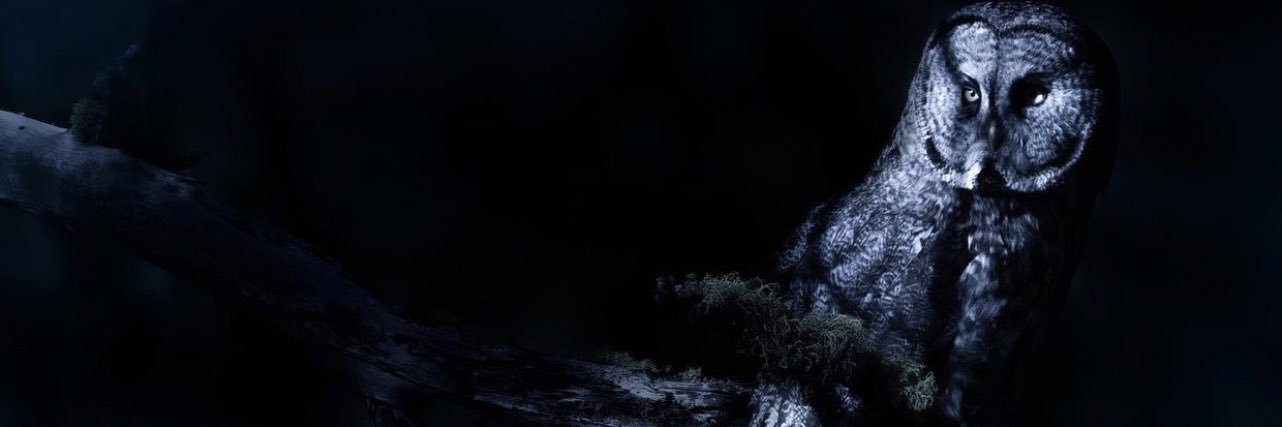 TRIGGGGAAA's profile banner image
