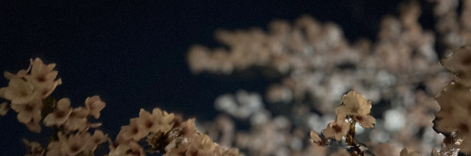 ri_____too's profile banner image