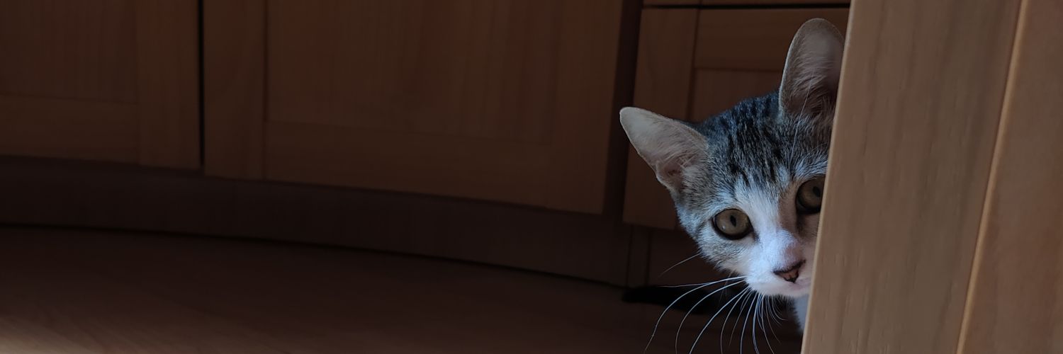 sari_11's profile banner image