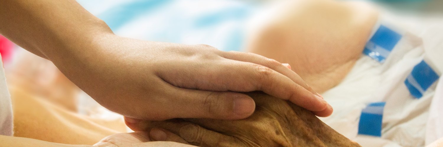 VIVES/Health Care School banner