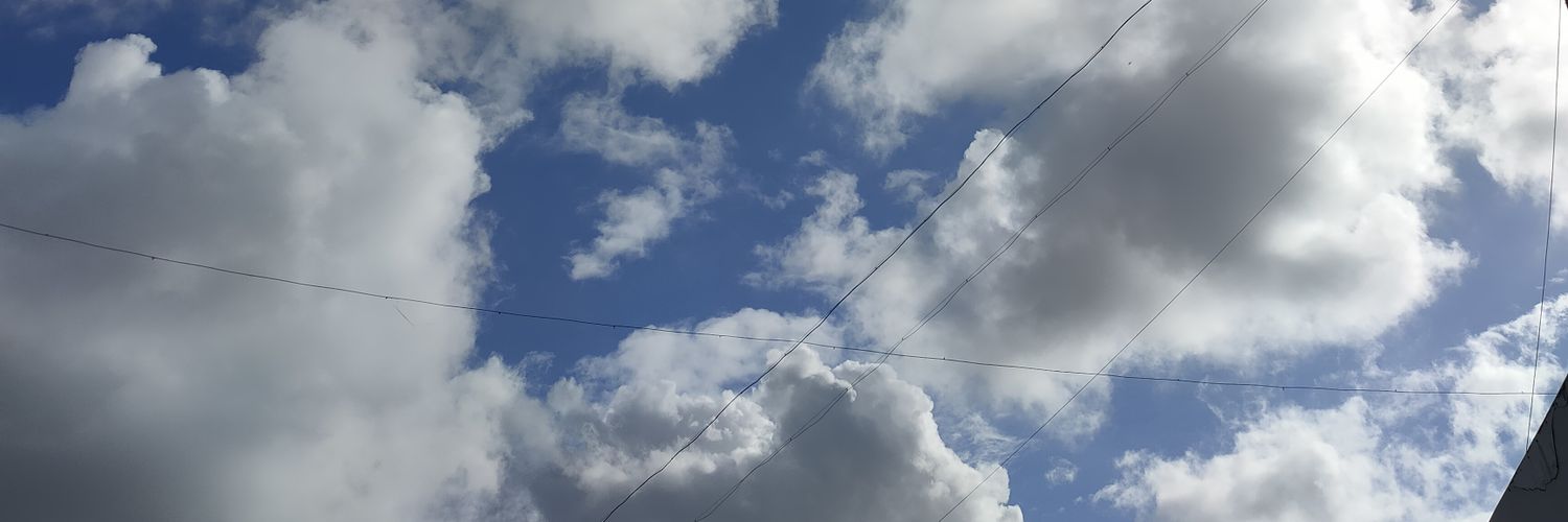 curlsbombshell's profile banner image