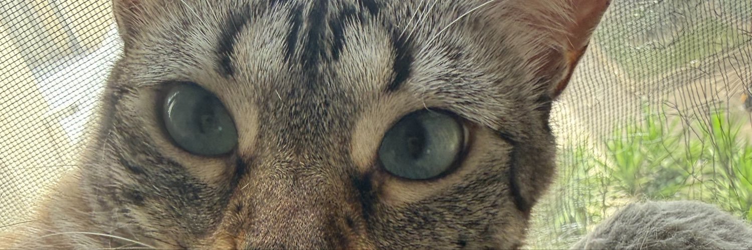 pxusxn's profile banner image