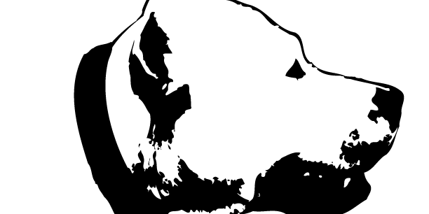 Dogos's profile banner image