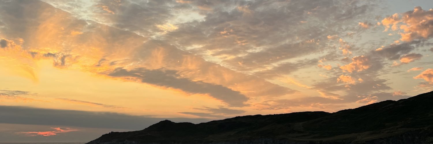 vicmaarsh's profile banner image
