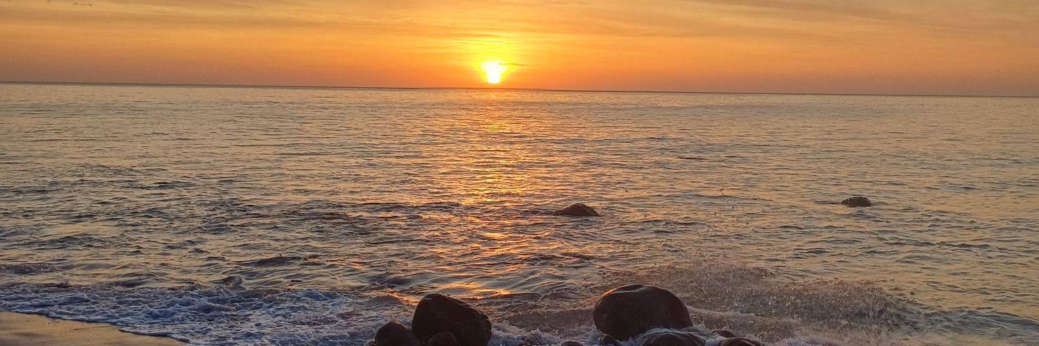 Cndida26's profile banner image