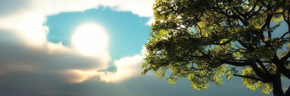 AmmarSabah's profile banner image