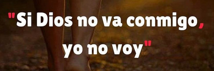 ros_narvaez's profile banner image