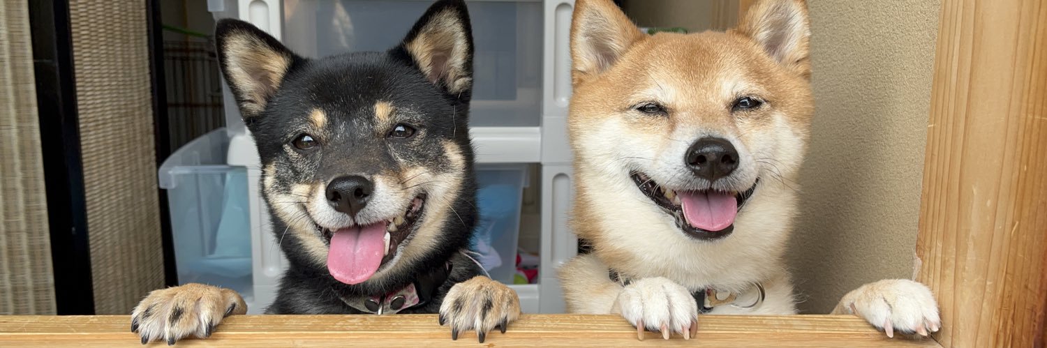 わんわん。わんわん。 banner