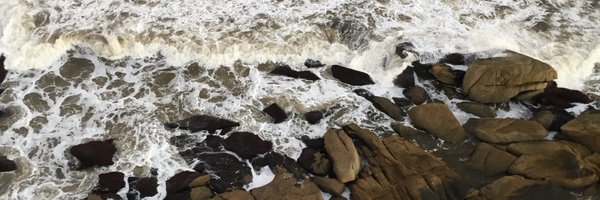 di_maxiii Profile Banner