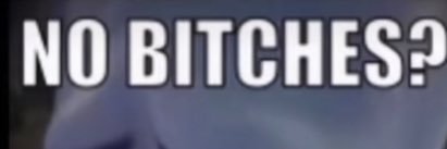 the offical sandman banner