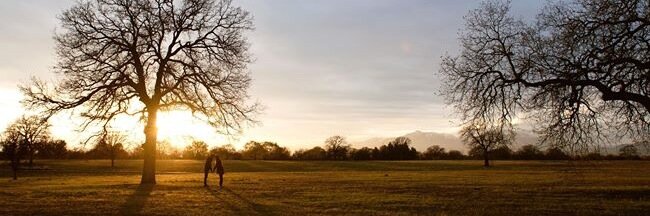 Shaun Notcutt banner
