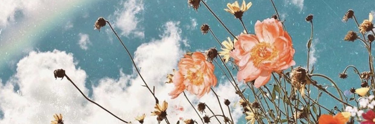 _talkingbird_'s profile banner image