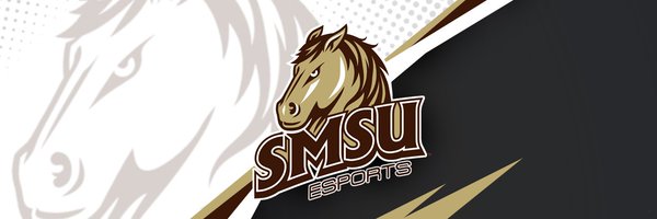 SMSUEsports Profile Banner