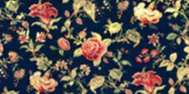 lillye20's profile banner image