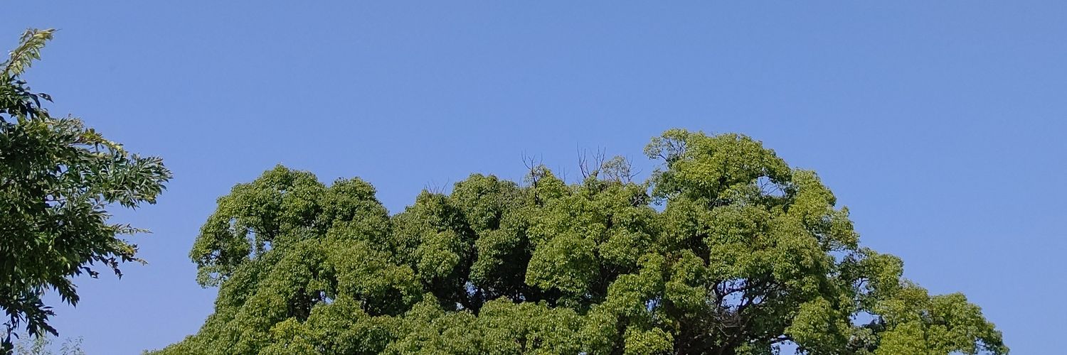 garusandesu's profile banner image