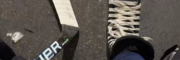SinBinStud Profile Banner