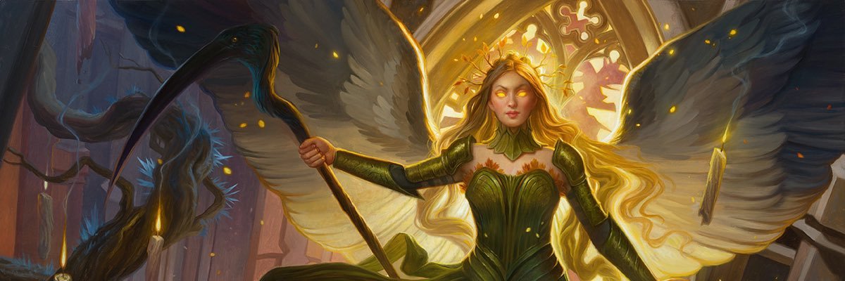 dadachiyo's profile banner image