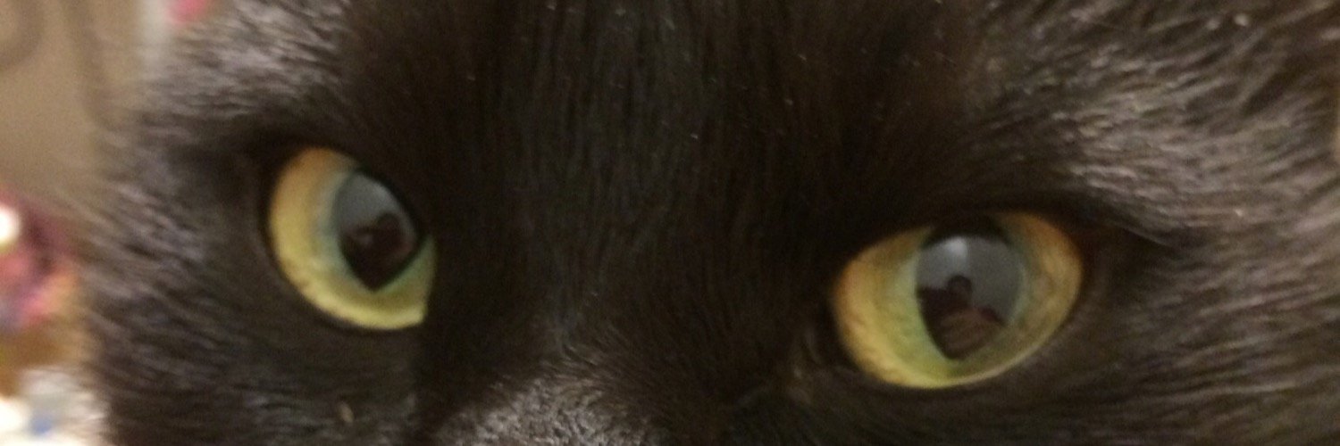 y_u_ic's profile banner image