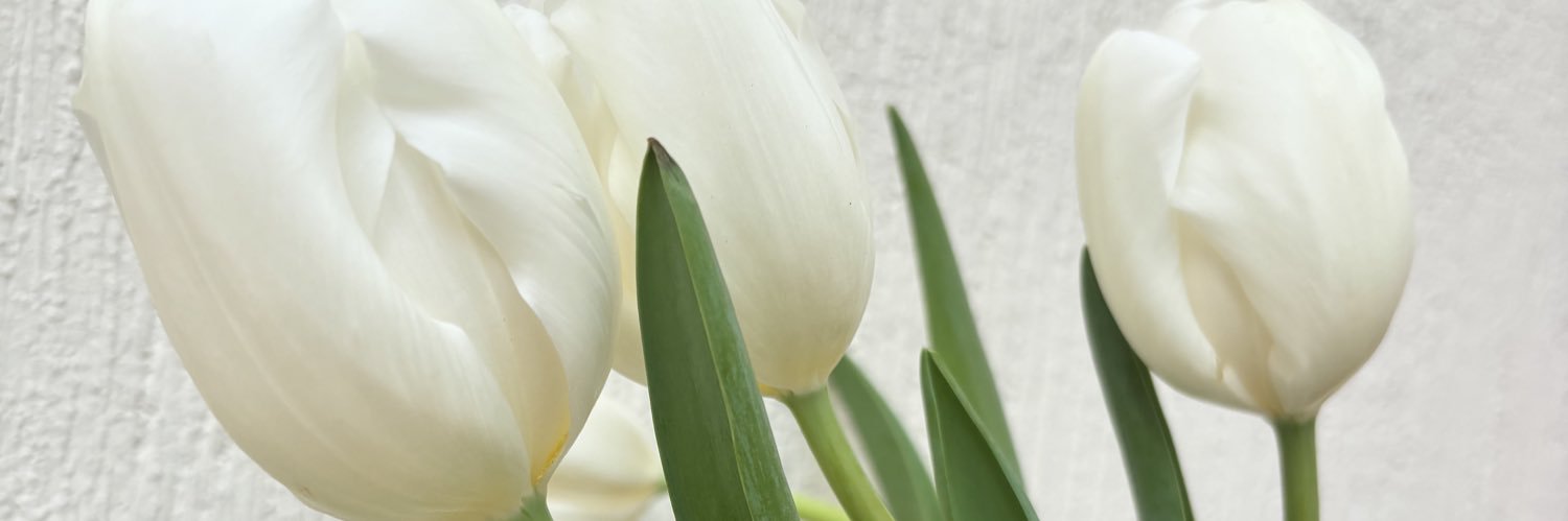 FlorDeBarranco_'s profile banner image