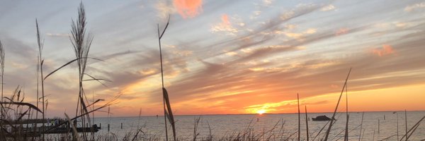 MrsFerrence Profile Banner