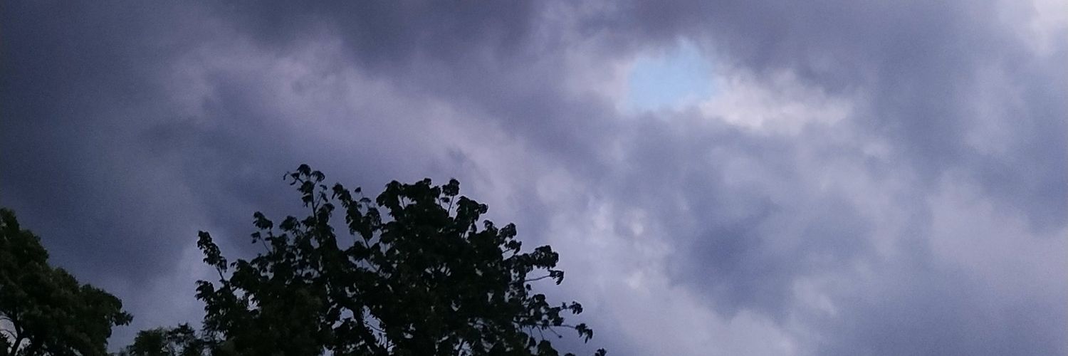 Nehachy96's profile banner image