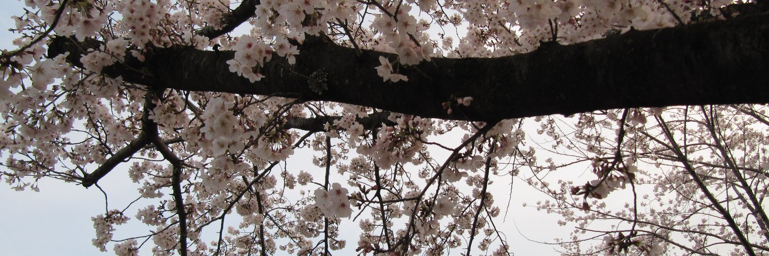 IgamiJapan's profile banner image