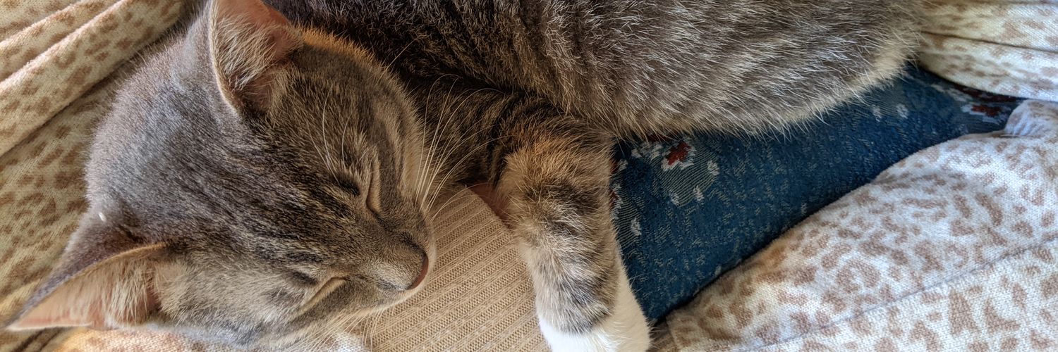 𝚝𝚎𝚜𝚜𝚊 banner