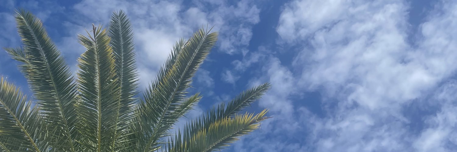 Spoody98's profile banner image