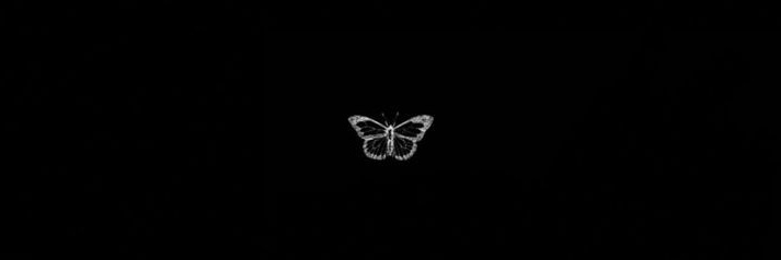 _sofiavveduto's profile banner image