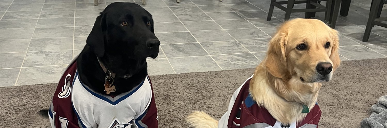shanecoombs2's profile banner image