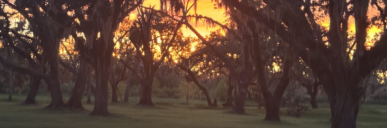 BatsCryptoFL's profile banner image