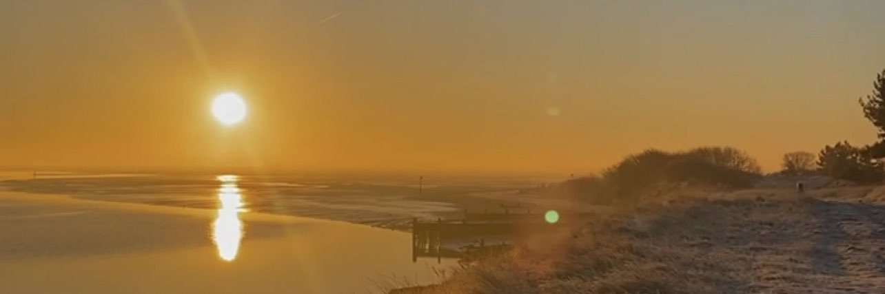 mollllramsden's profile banner image