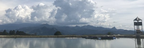 BinghamJobeth Profile Banner