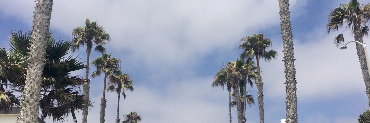 Lauren Samara banner