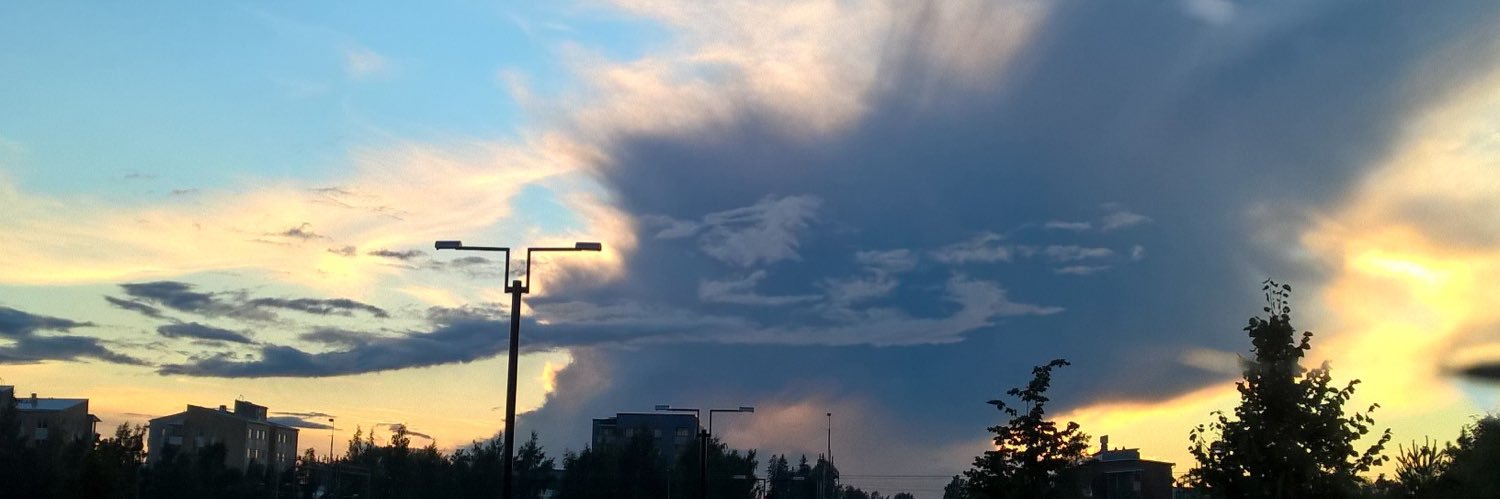 E. Järveläinen banner