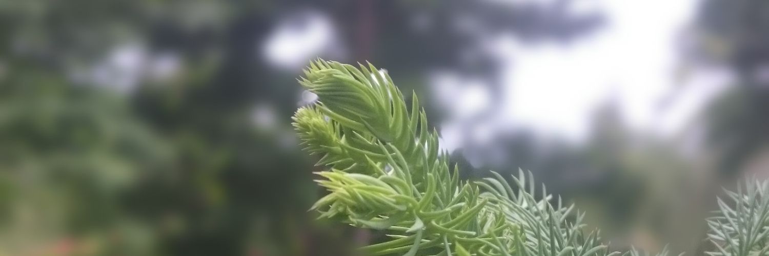 doublejandu's profile banner image