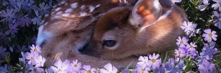 ghenaa28's profile banner image