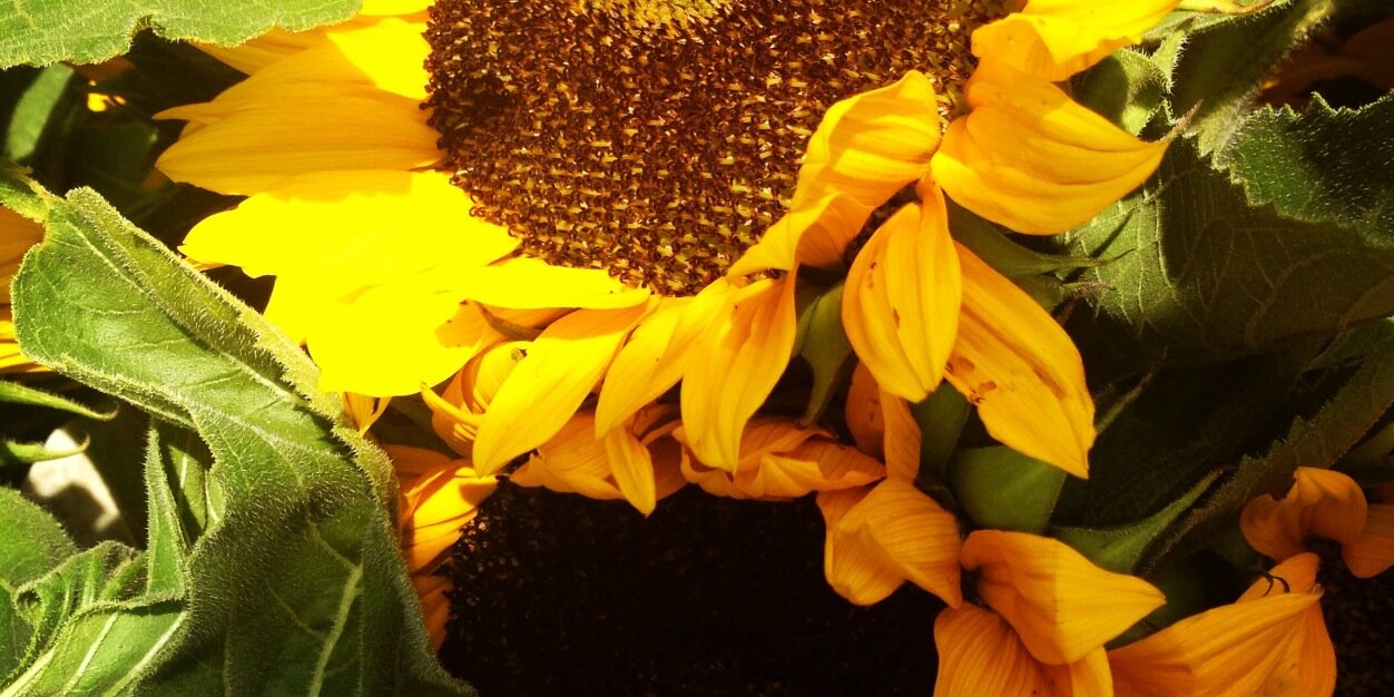 CornfieldH's profile banner image